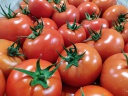 Domates Tane Topraksız 6 kg /Viyollü