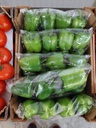 Bell Pepper Package 15*400 Gr 6kg (case)